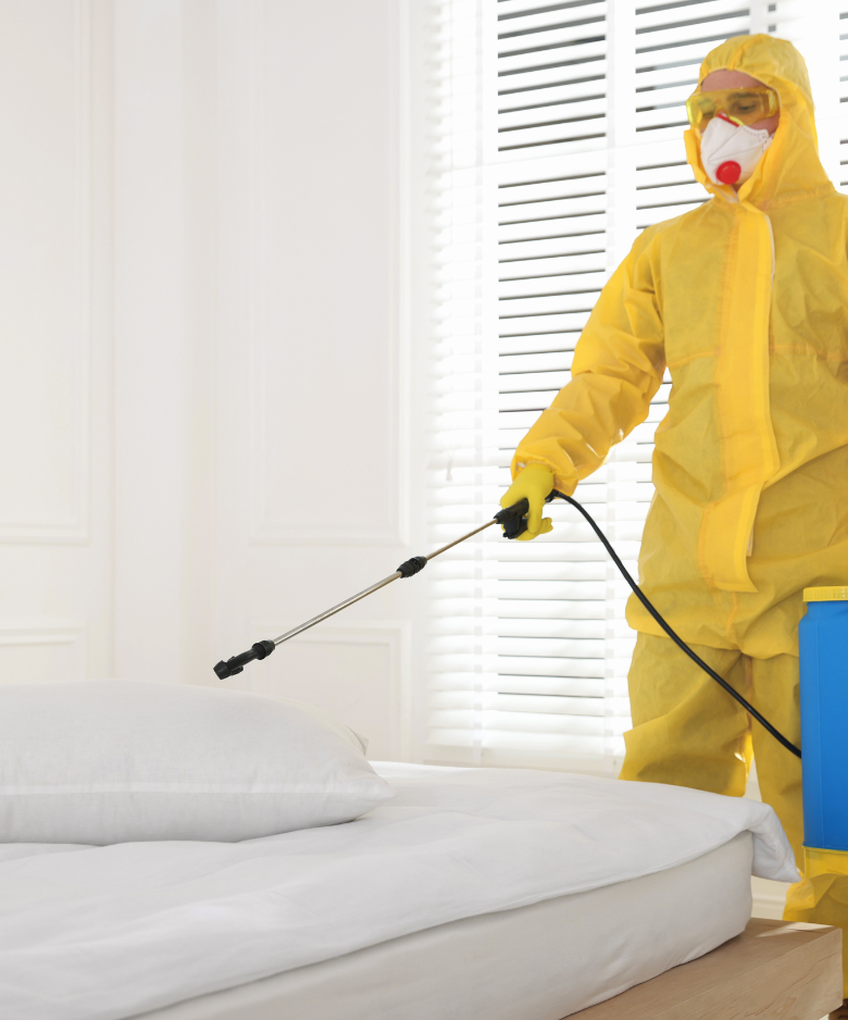 Professional Pest Control Team in Hay Valley
